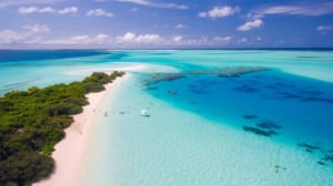 海外の画像