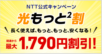 フレッツ光西本光もっと2割