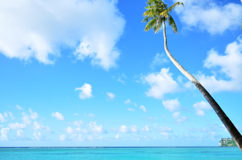 海外でもどんなときもWiFi