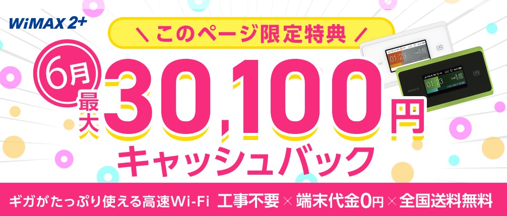 GMOとくとくBB WiMAX